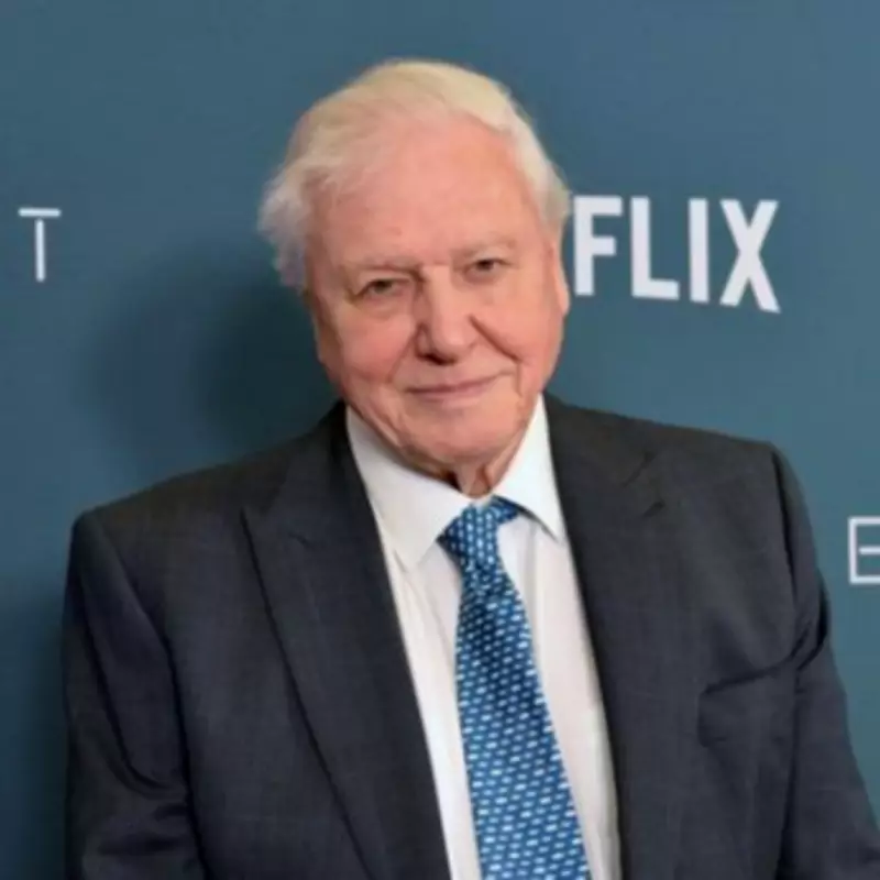 Sir David Attenborough's Private Life: Wife, Children, and Home at 100