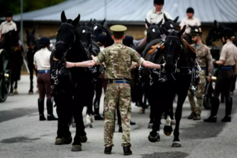 Soldier Dies After Fall from Horse at Royal Windsor Horse Show
