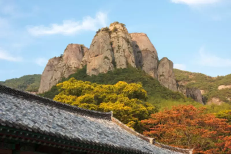 South Korean Boy Found Dead Near Mountain Peak After Three-Day Search