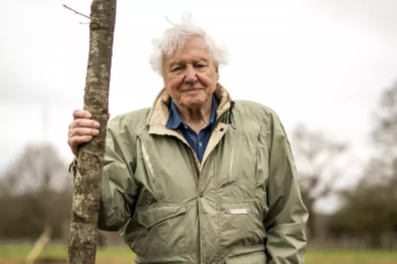 Species Named After Attenborough: From Dinosaurs to Butterflies