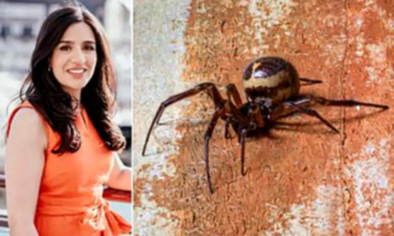 Spider Bite Hospital Admissions Double in England Over Decade
