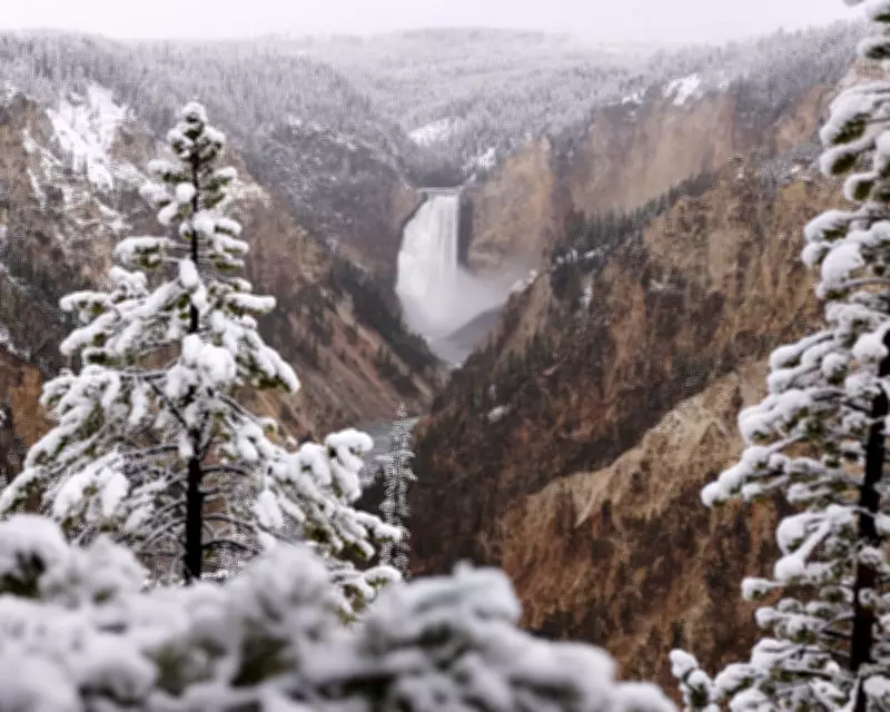 Spring Snow and Record-Breaking Melons: Photos of the Day