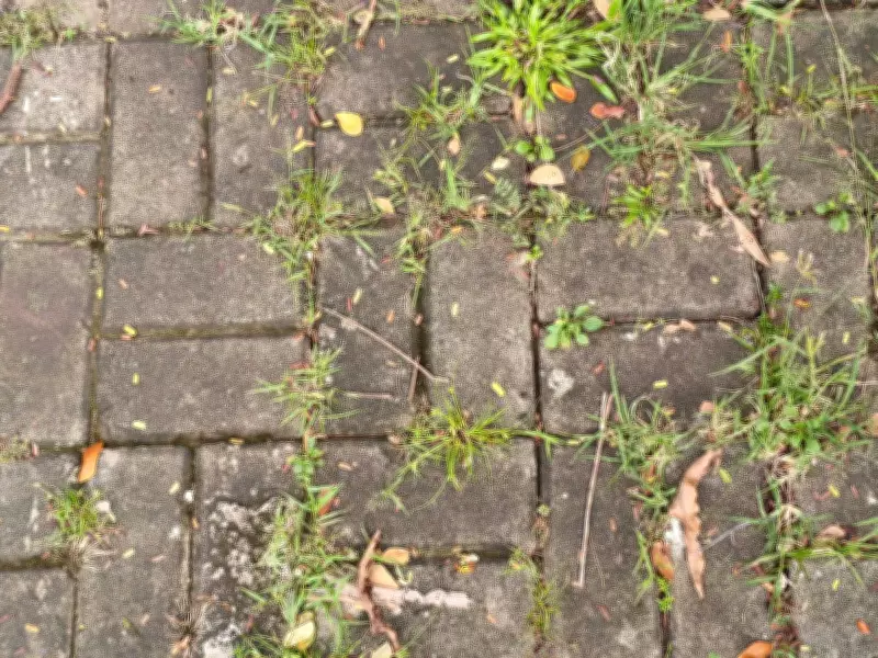 Sprinkle Salt on Patio Cracks to Banish Weeds Naturally, No Chemicals Needed