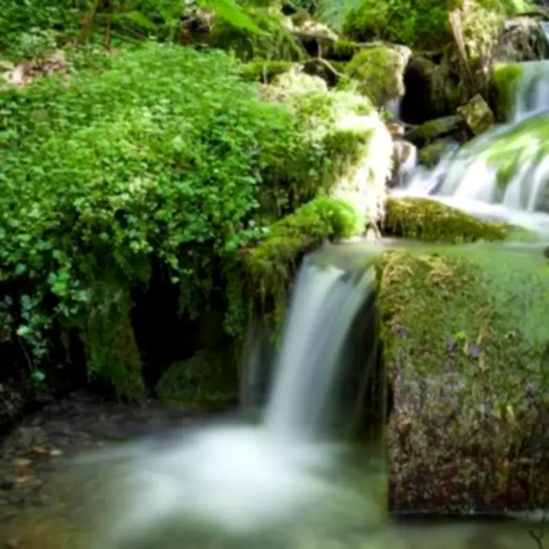 St Nectan's Kieve: UK's Most Spiritual Waterfall in Cornwall