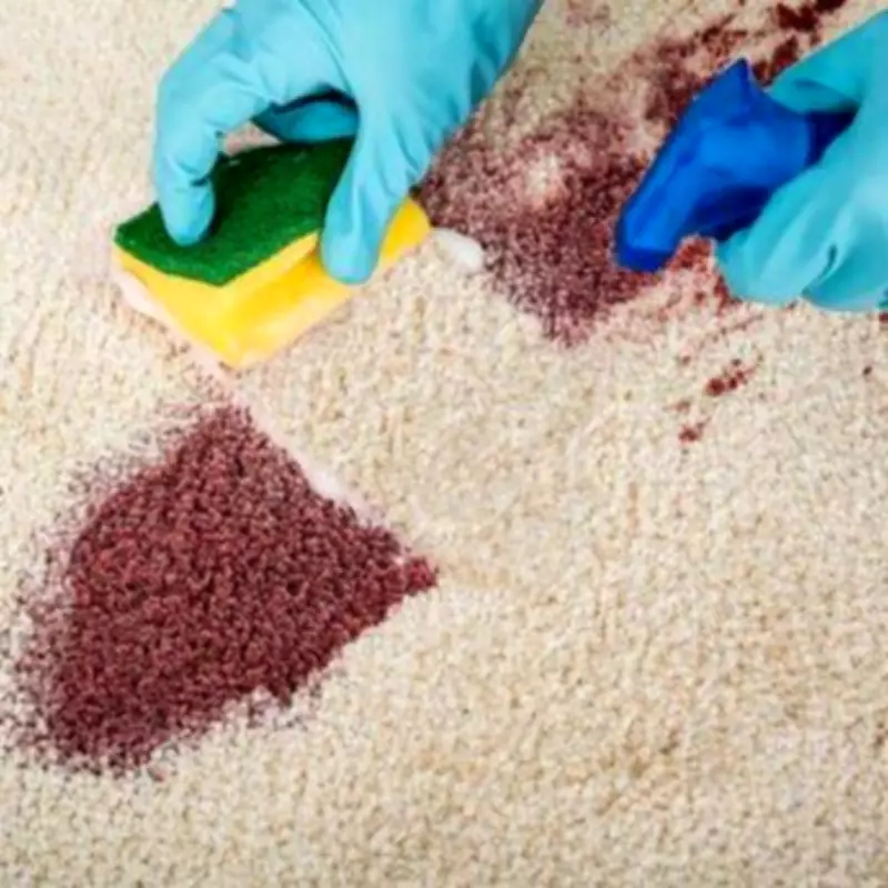 Stop Using Carpet Cleaners: Shaving Foam Removes Any Stain in 10 Minutes