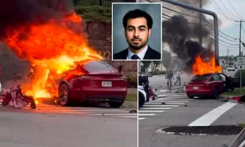 Student sues Tesla after Model 3 fire causes severe burns, amputations