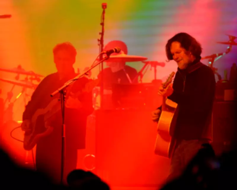 Super Furry Animals Reunion: Stirring Show of Immaculate Songcraft