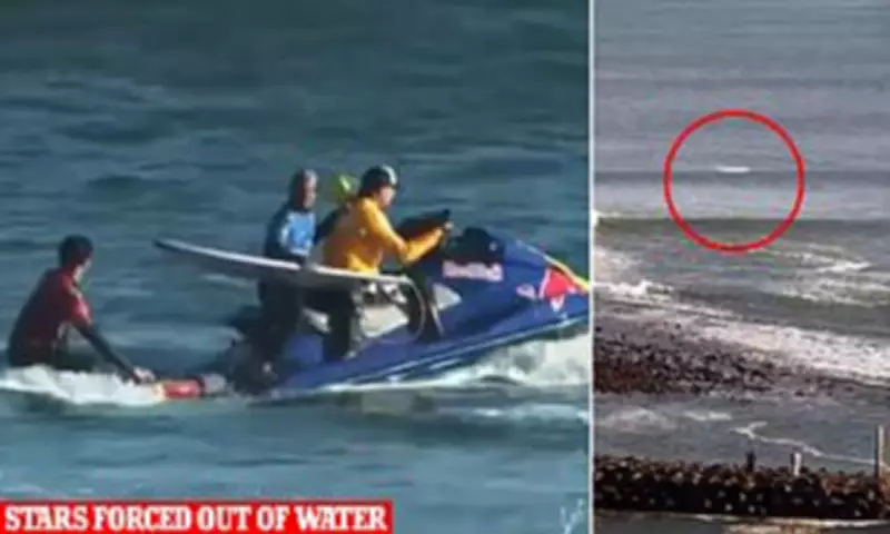 Surfing event halted after photographer bitten by mystery sea creature