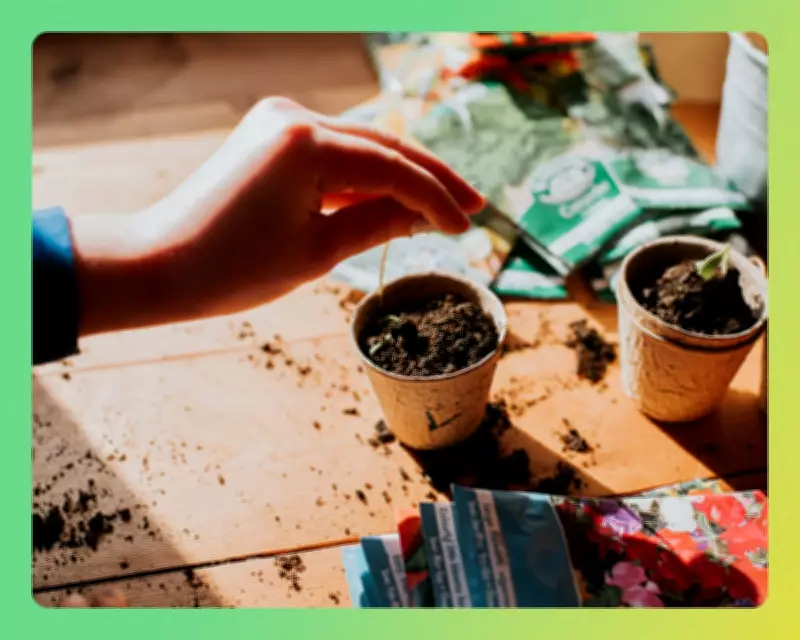 Sustainable Plant Shopping: Tips for an Eco-Friendly Garden This Spring