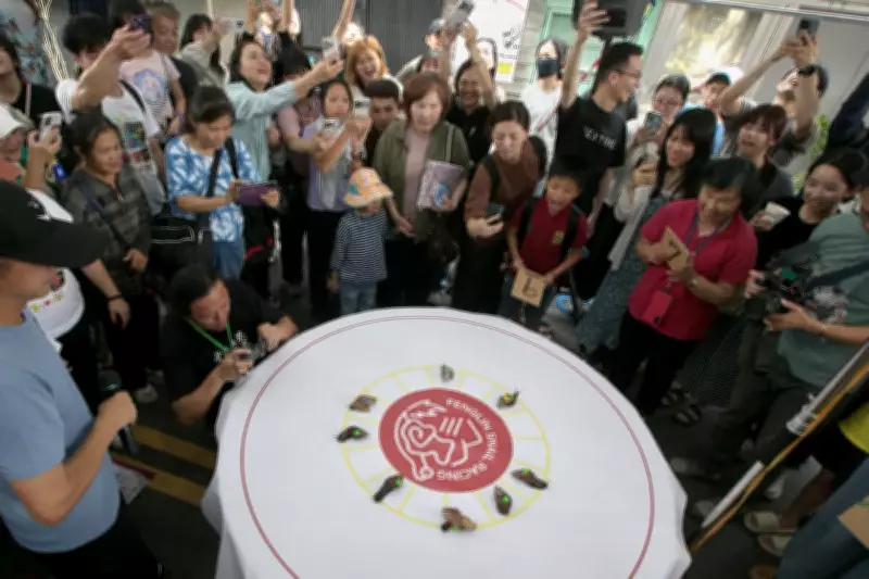 Taiwanese Town Embraces Slow Life with Snail Races to Boost Tourism