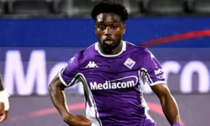 Tariq Lamptey's Fiorentina Contract Terminated After Injury Nightmare