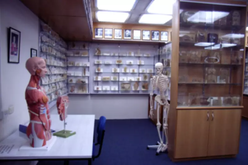 Tasmania Apologises for Retaining Autopsy Body Parts Without Consent
