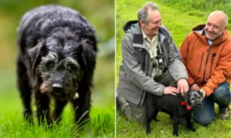 Ted the Terrier to Appear Posthumously in New Gone Fishing Series