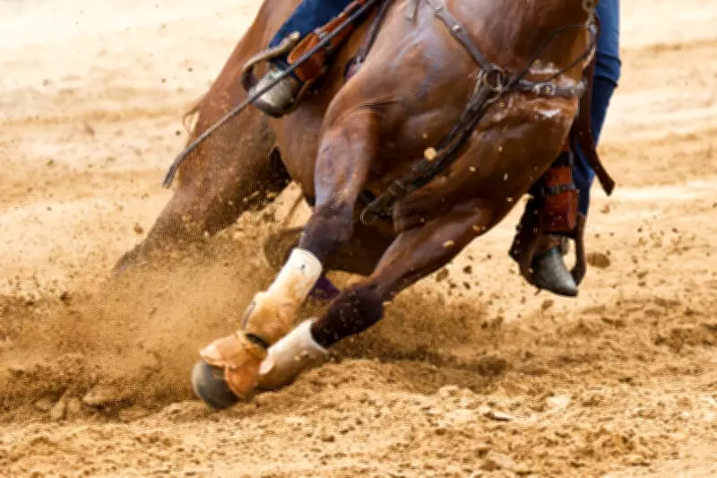 Teen Barrel Racer Arrested for Stabbing Horses at Las Vegas Event