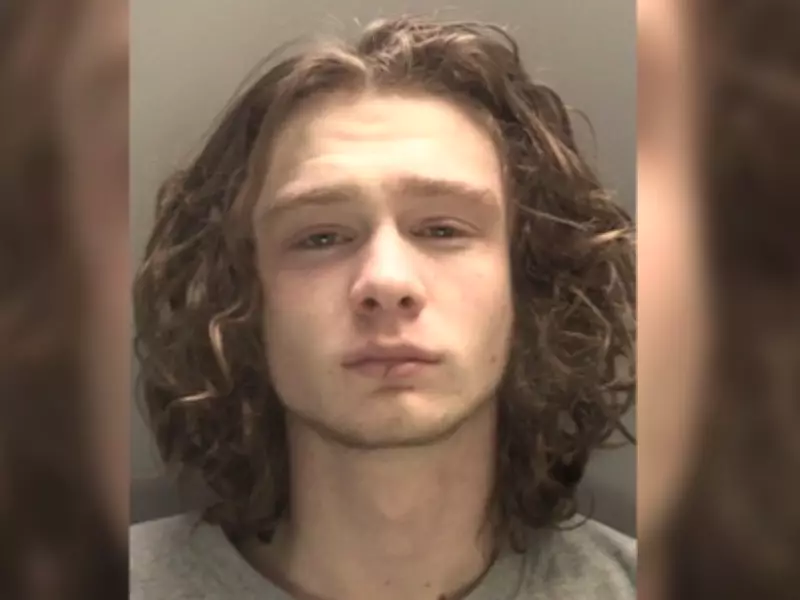 Teen told friend he'd 'happily do 20 to life' before stabbing him in seven-hour ordeal