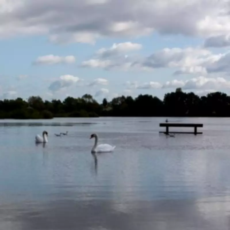 Teenage Girl Found Dead at Kingsbury Water Park on Bank Holiday