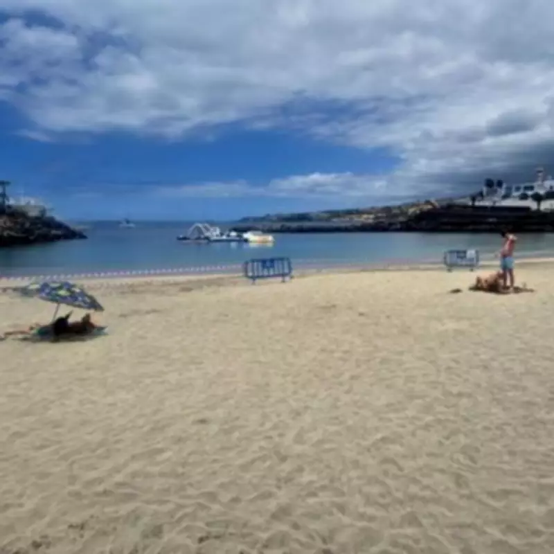 Tenerife Beach Closed After Harmful Bacteria Found in Water
