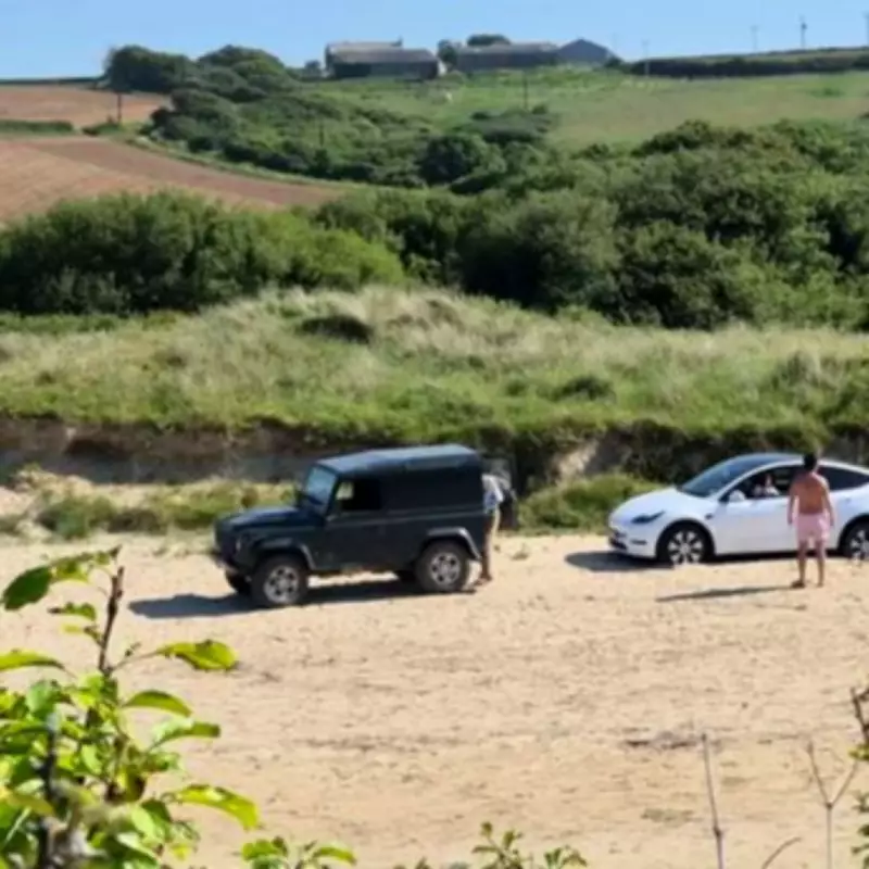 Tesla driver branded 'moron' after parking on Cornwall beach and swearing at locals