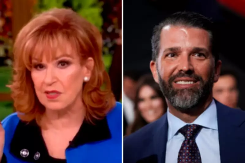 The View Hosts Criticize Donald Trump Jr. as Potential Apprentice Host