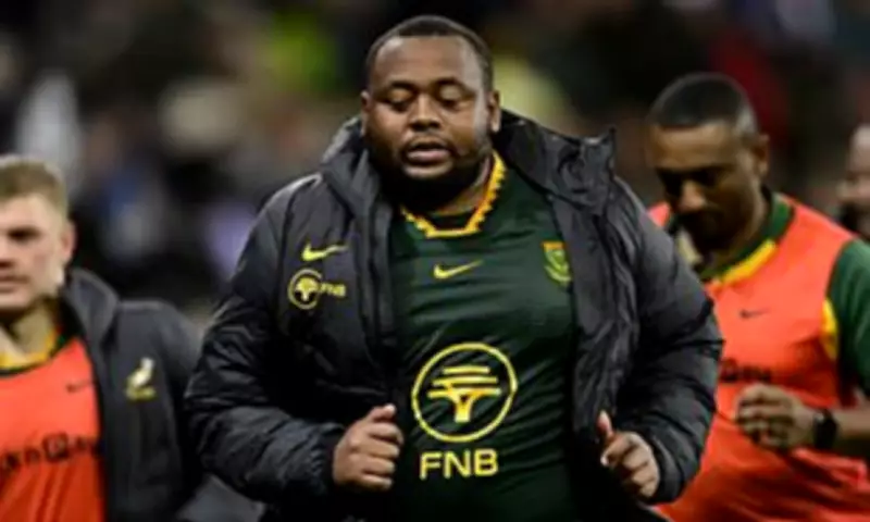 Third Springbok Banned for Doping in Two Years