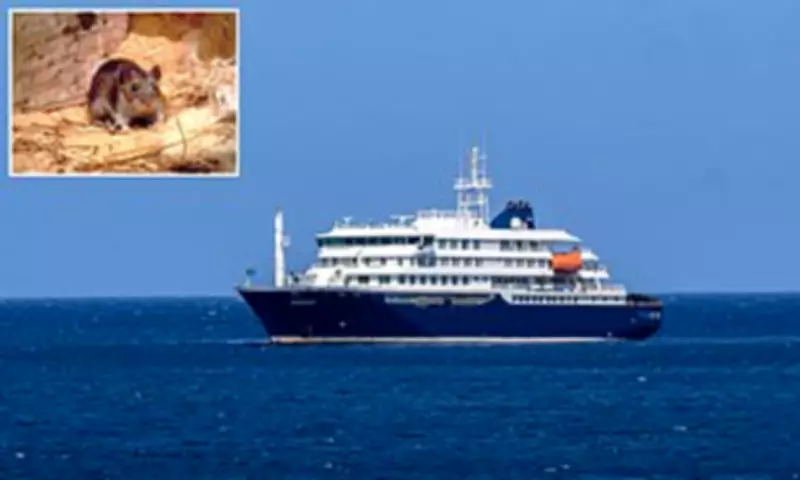 Three Dead in Suspected Hantavirus Outbreak on Cruise Ship Off Africa