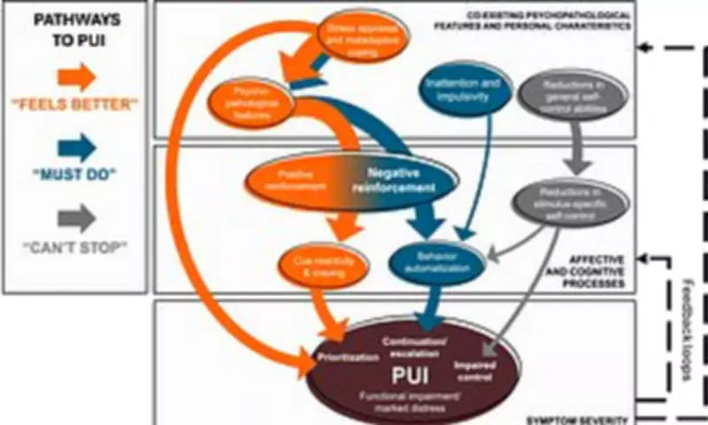 Three Key Drivers of Problematic Internet Use Identified by Scientists