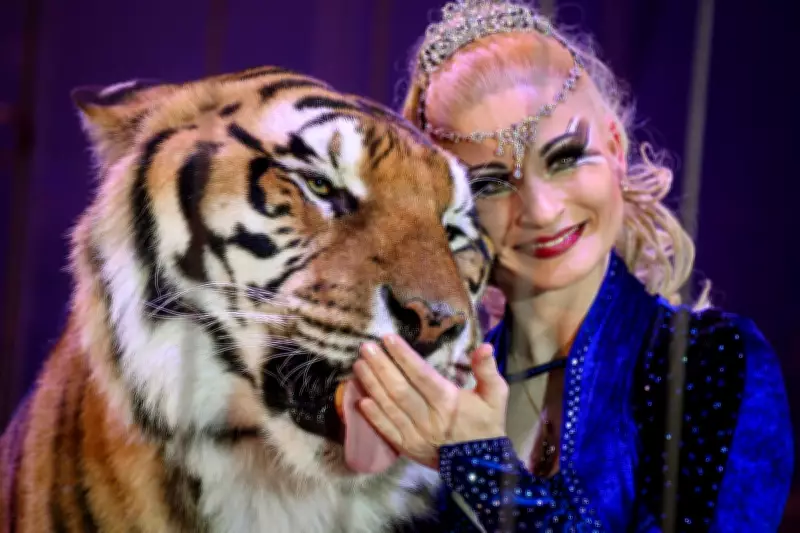 Tiger shot dead by German police after escaping and attacking keeper