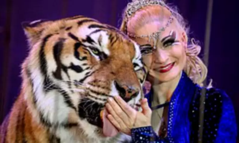 Tiger shot dead in German garden after escaping owner dubbed 'Tiger Queen'
