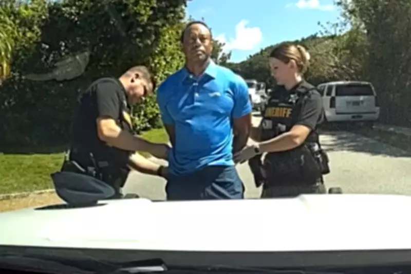 Tiger Woods' Lawyer Fights Release of Prescription Records in DUI Case