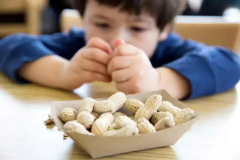 Tiny Peanut Doses Could Treat Toddler Allergies, Study Finds