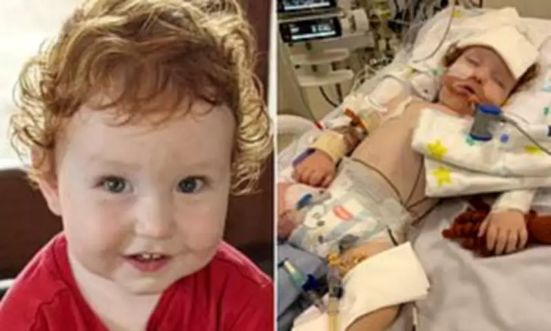 Toddler Breathes on Own After Inhaling Bluey Cake Dust