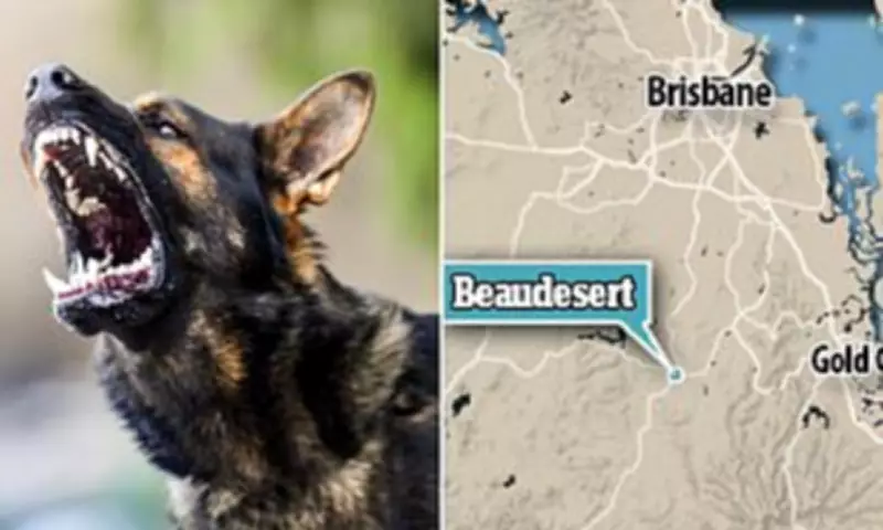 Toddler Critically Injured After Dog Attack in Queensland