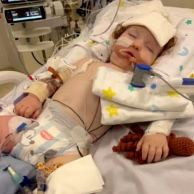 Toddler in Coma After Inhaling Cake Decorating Gold Dust