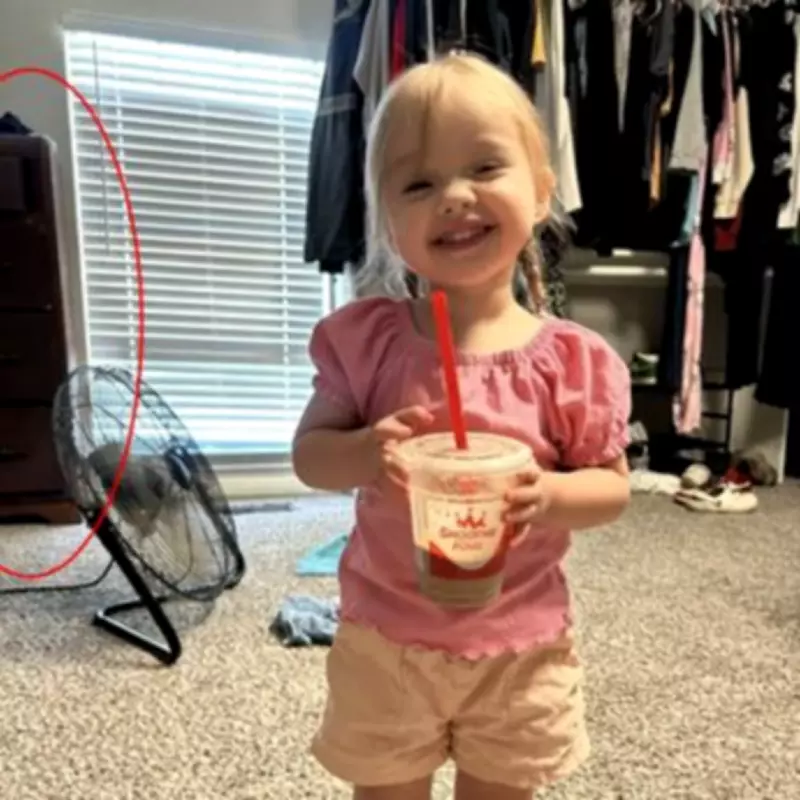 Toddler Killed by 80lb Dresser: Mum's Urgent Warning