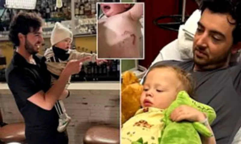 Toddler Needs Stitches and Rabies Shots After Raccoon Attack in Massachusetts