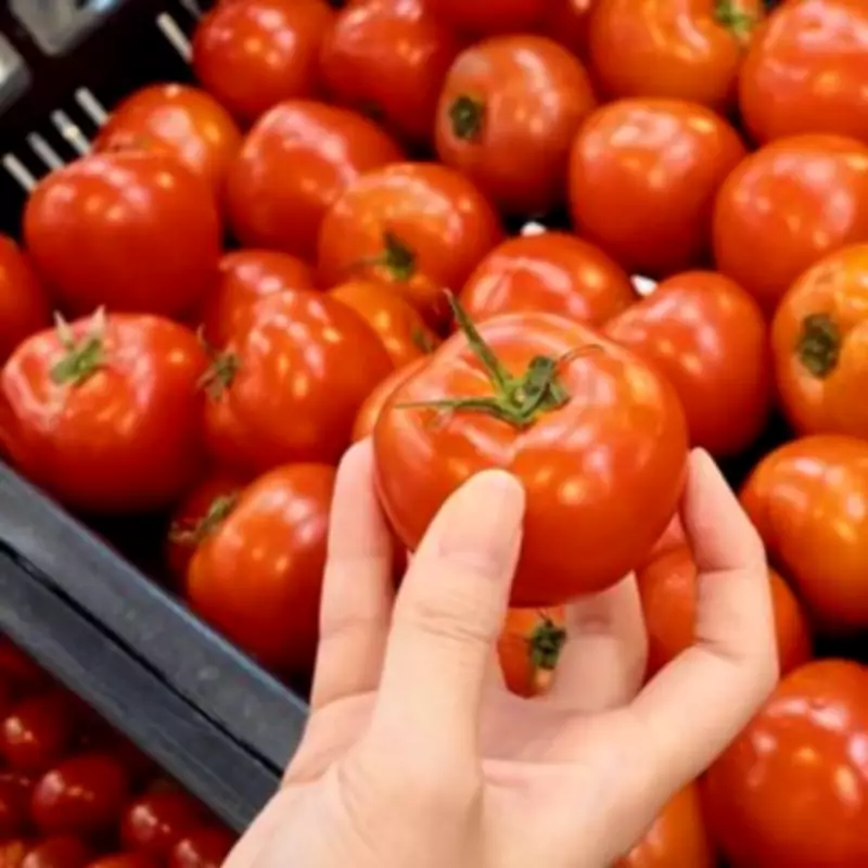 Tomato Price Warning: Summer Harvest Could Hike Costs