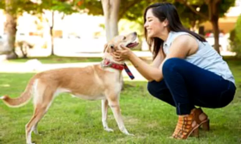 Top 5 Questions Pet Owners Wish They Could Ask Their Animals