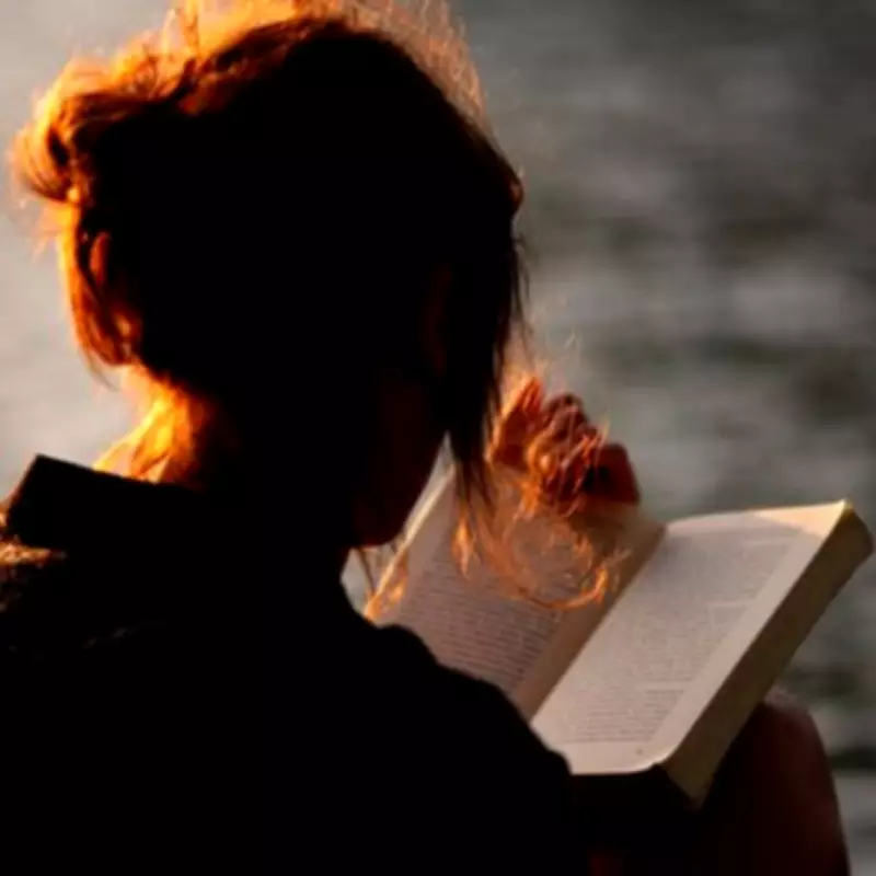 Top Feminist Horror Authors for Fans of Lucy Rose's The Lamb