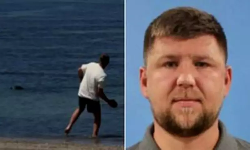 Tourist Who Threw Rock at Monk Seal Claims He Was Protecting Turtles