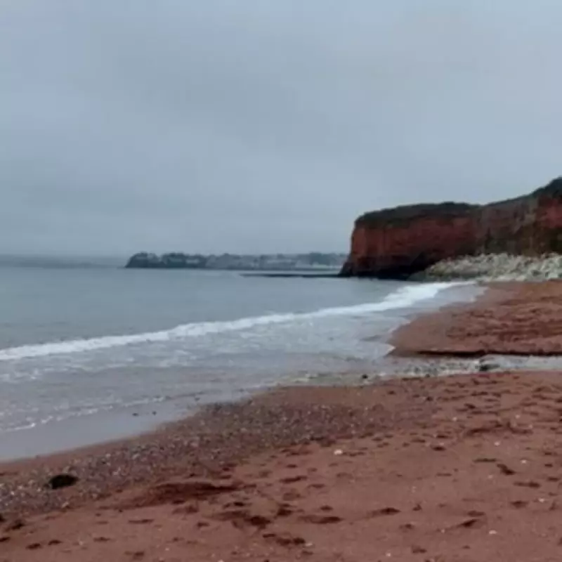Tragic Discovery: Body Found in Search for Missing Man, 38, Near Paignton