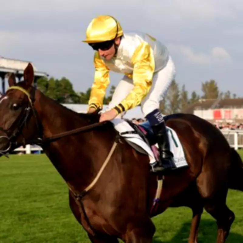 Trainer Pays Tribute After 'Horse of a Lifetime' Kihavah Dies at Kelso