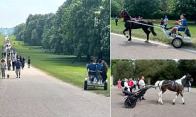 Travellers Race Horse-Drawn Carts Near Windsor Castle, Breaching Ban