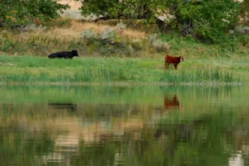 Trump Admin Cancels Conservation Rule for Public Lands