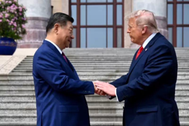 Trump and Xi's 10-Second Handshake Reveals Power Dynamics