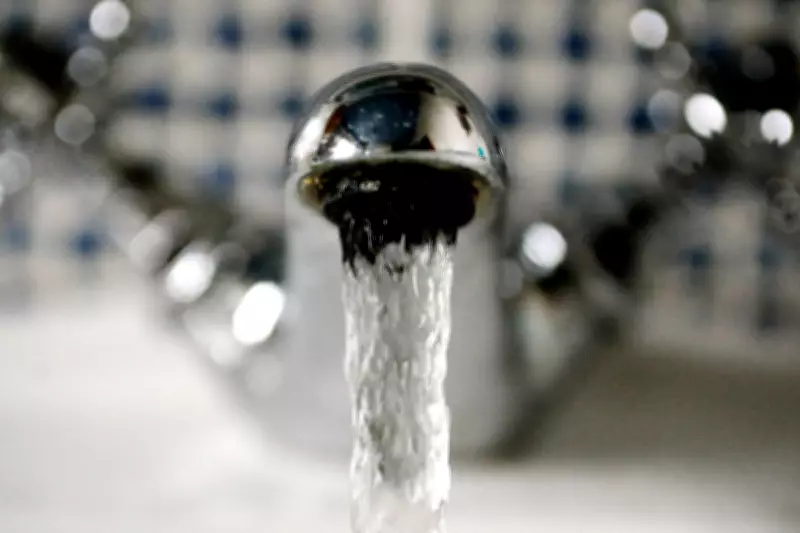 Trump EPA Moves to Revoke Limits on Cancer-Linked PFAS in Water