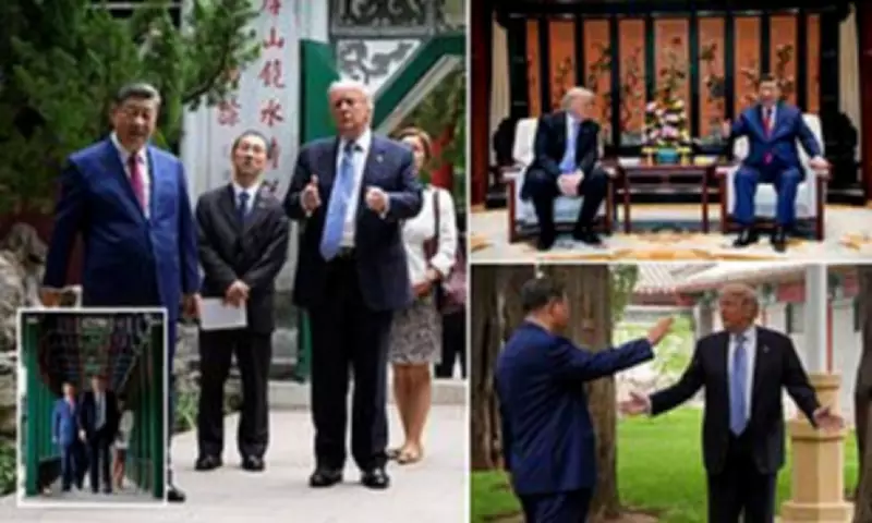 Trump Gets Rare Tour of Beijing's Zhongnanhai, Xi Promises Rose Seeds
