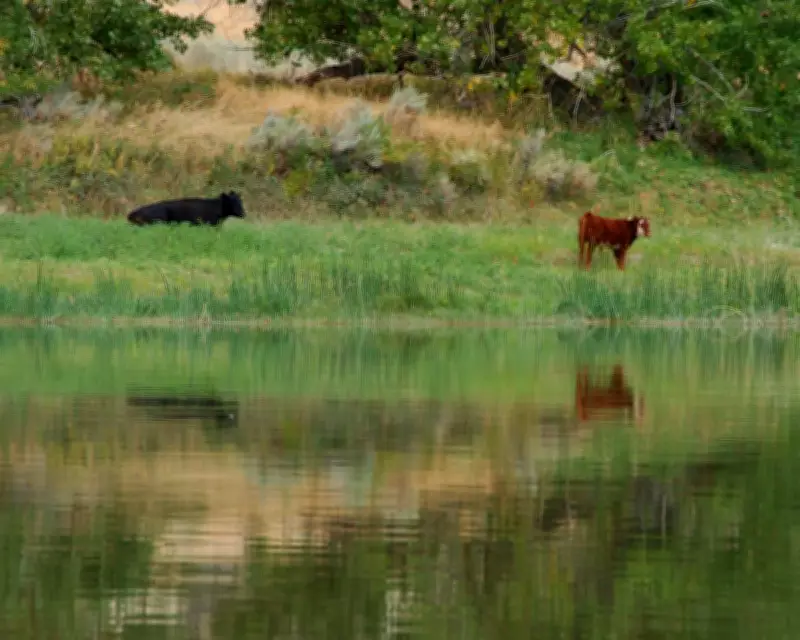 Trump Officials Cancel Rule Making Conservation a Public Land Use