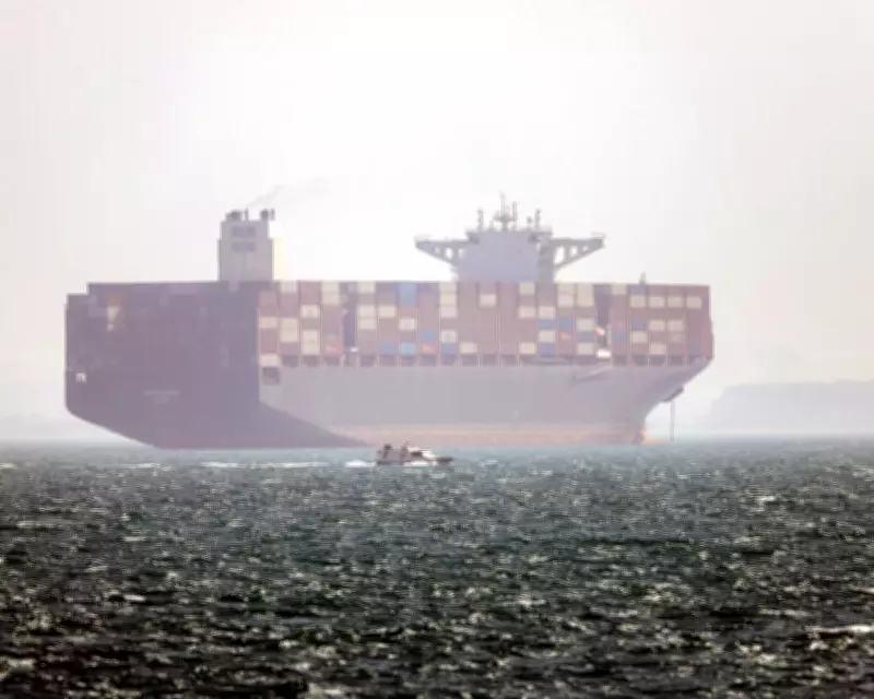 Trump Pauses 'Project Freedom' in Strait of Hormuz, Hopes for Iran Deal