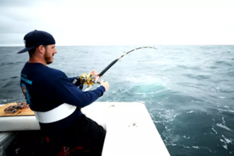 Trump Plan May Allow More Shark Fishing, Threatening Endangered Species
