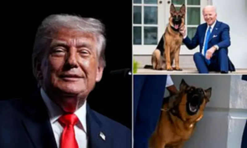 Trump Reveals Real Reason He Never Got a White House Dog